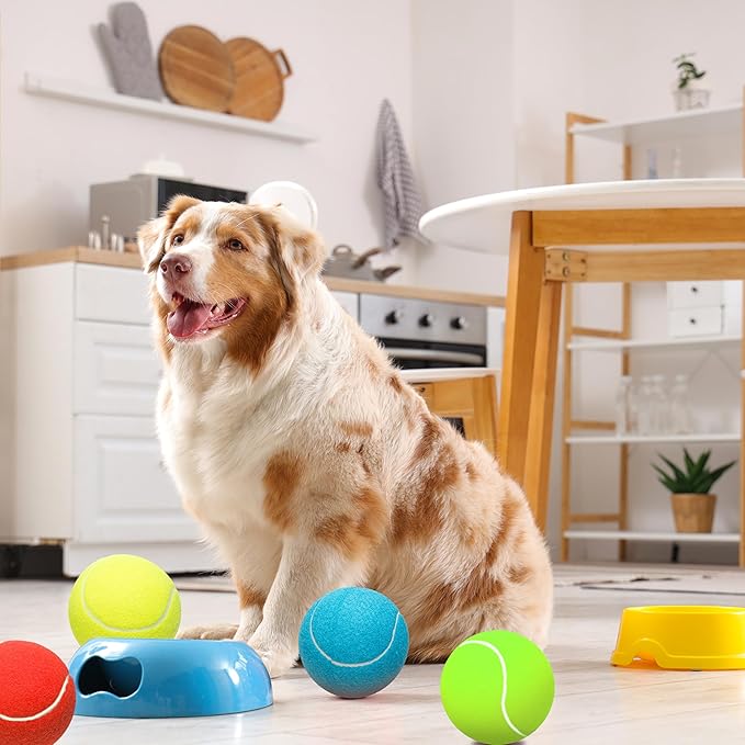 4 Pack Large Dog Tennis Balls, 4 inch Interactive Dog Toy Ball for Playing Training Sports Outdoor Indoor, Pet Toys Fetch Balls for Small, Medium, Large & Dogs