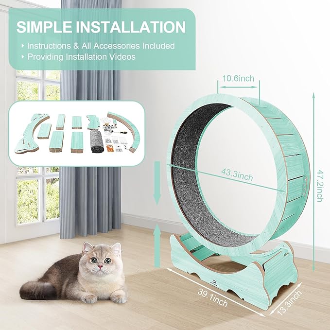 Cat Wheel, 48" XL Large Cats Exercise Running Wheel, Cat Treadmill for Indoor Cats, Green