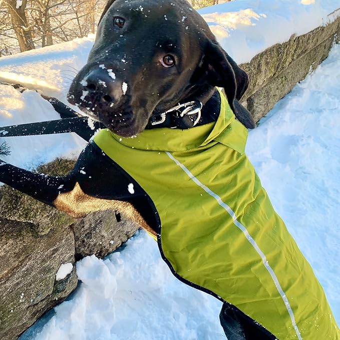 Mile High Life Dog Raincoat, Adjustable Waterproof Reflective Rain Jacket for Small Medium Large Dogs, Lightweight Breathable Pet Rain Coat with Leash Hole(Lime Yellow,S Chest 22-25")