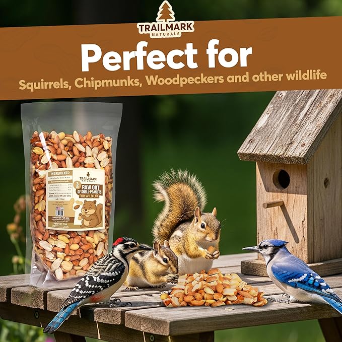 3 LB - Raw Shelled Peanuts For Squirrels, Out of Shell Peanuts For Birds and Wildlife- Squirrel Food, Wild Bird Seed - Grown in The USA