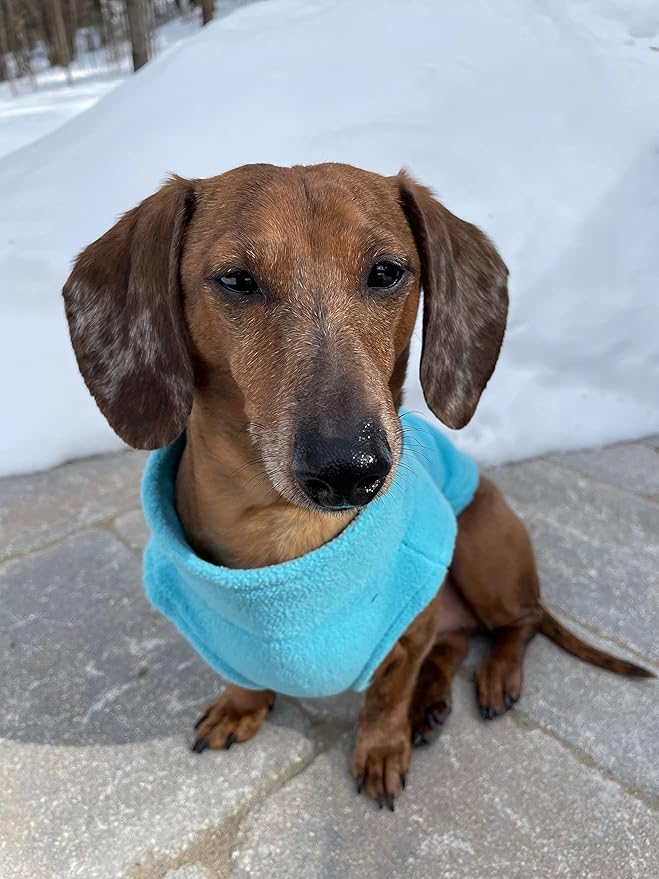 Gooby Turquoise X-Large Fleece Dog Sweater - Warm Winter Jacket with Dual D Ring Leash - Machine Washable Pet Apparel