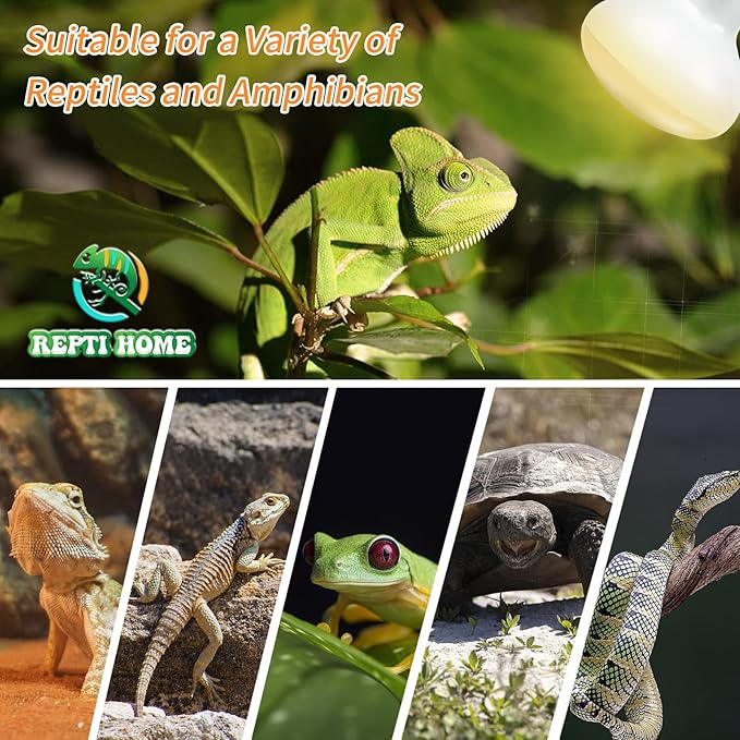 New Upgrade Reptile Heat Lamp Bulb (3rd Gen No Broken), 75W 2 Pack Basking Spot Light for Reptiles & Amphibians,UVA Daylight Heat Bulb for Bearded Dragon, Turtle
