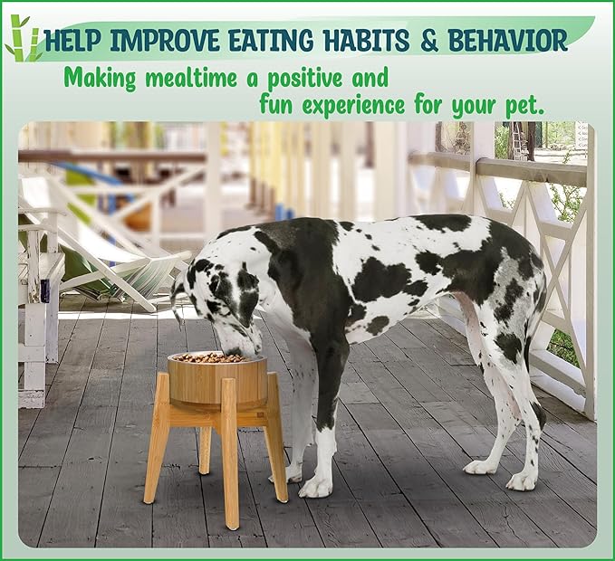 Elevated Dog Bowls Large Breed - (15-Inch, 74-oz Cap) - Raised Single Dog Food Station, Suitable for Dry/Wet Pet Foods, Deter Ants/Bugs - Bamboo with Stainless Dish and Tall Stand