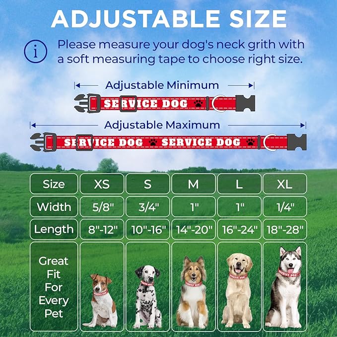 TECEUM Reflective Pet Collar – Red - Service Dog – M – Extra Soft Padding – Basic Nylon Dog Collar – Quick Release Buckle – Fits Small, Medium and Large Dogs, Puppies, Cats