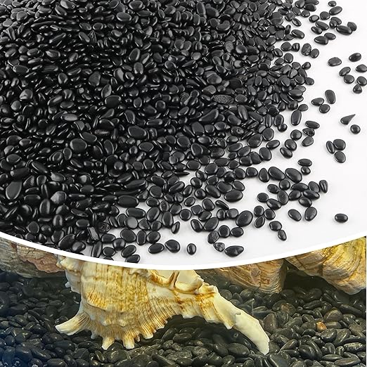7lb 1/4" Small Pebbles Black for Plants,Potting,Succulents Aquarium Fish Tank Vases Decorative Garden Polished Gravel Rocks Stones