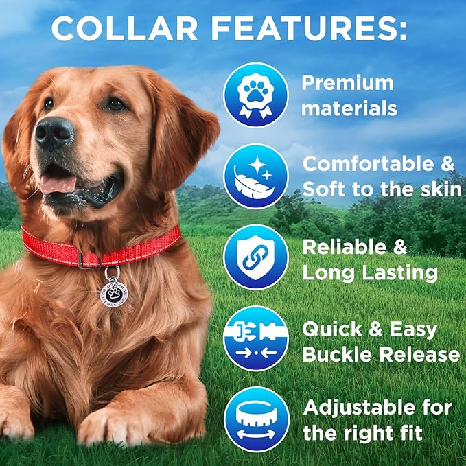 TECEUM Reflective Dog Collar – Red – XS – Extra Soft Padding – Basic Nylon Pet Collar – Quick Release Buckle – Fits Small, Medium and Large Dogs, Puppies, Cats – ESA & Service Dog Options