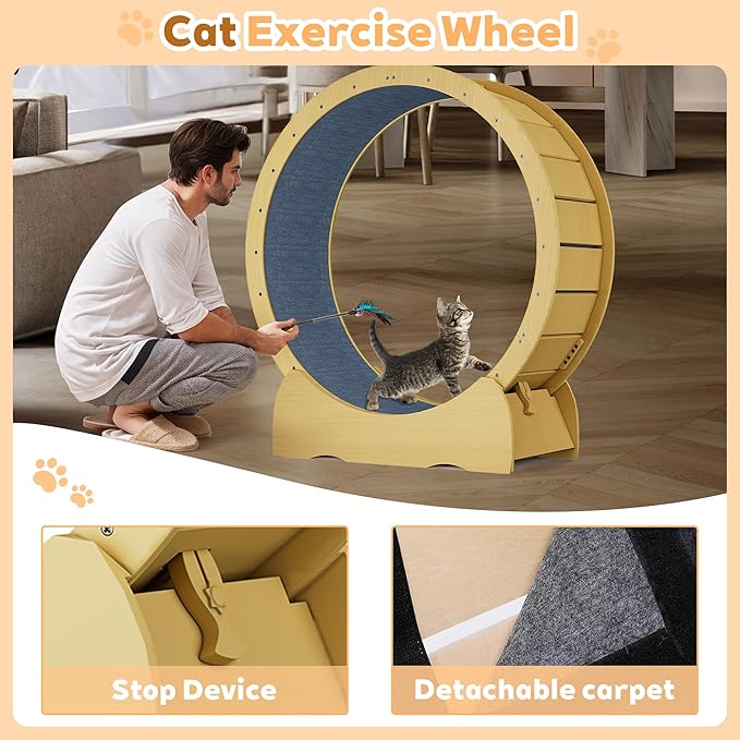 45 Inch Cat Exercise Wheel, Large Cat Wheel for Indoor Cats with Detachable Carpet & Toy, for Running/Walking/Training, Suitable for Most Cats
