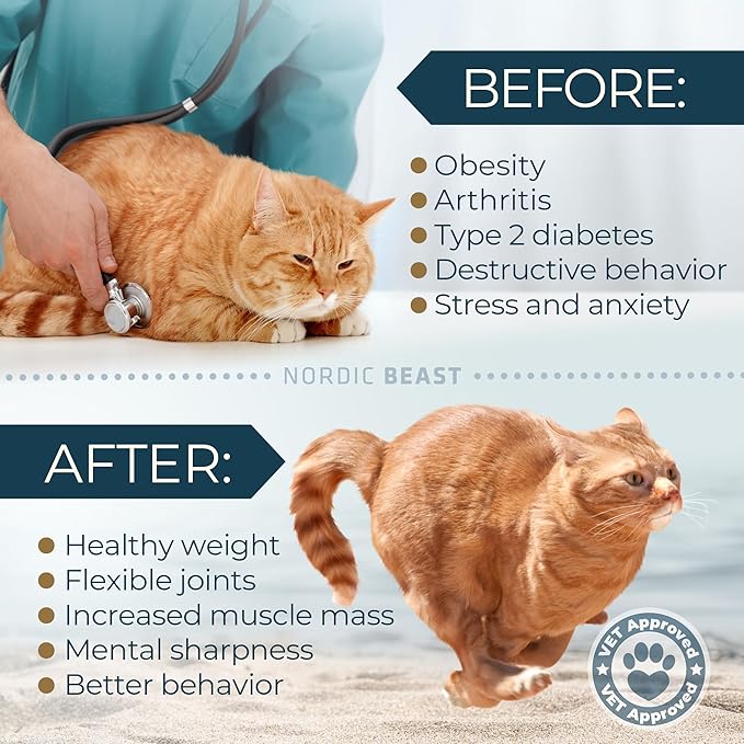 48'' XL Cat Wheel - Cat Wheels for Indoor Cats Which Doesn't Negatively Affect Your Cat's Spine - 15.7'' Extra Wide Cat Treadmill - Fits 2 Cats Side-by-Side, 1-Year Warranty