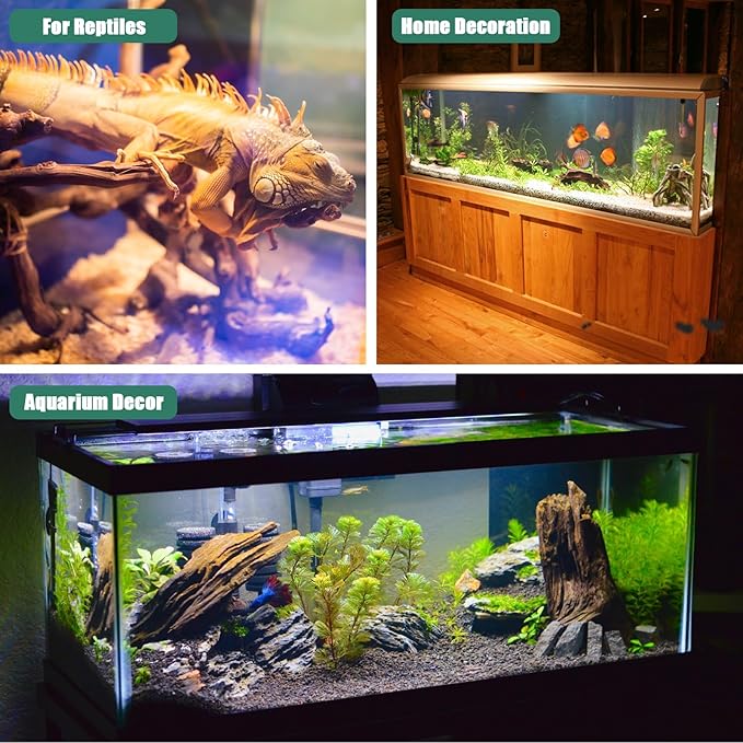 Driftwood for Aquarium, 2 Pieces 14-18 Inches Large Natural Drift Wood Fish Tank Assorted Branch Decorations for Reptile Hide