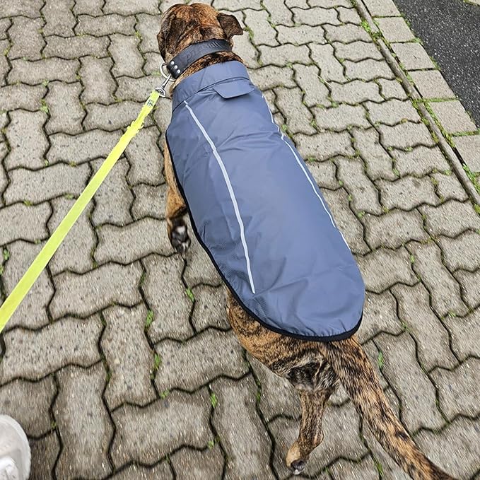 Mile High Life Dog Raincoat, Adjustable Waterproof Reflective Rain Jacket for Small Medium Large Dogs, Lightweight Breathable Pet Rain Coat with Leash Hole(Dark Gray,XXS Chest 16-19")
