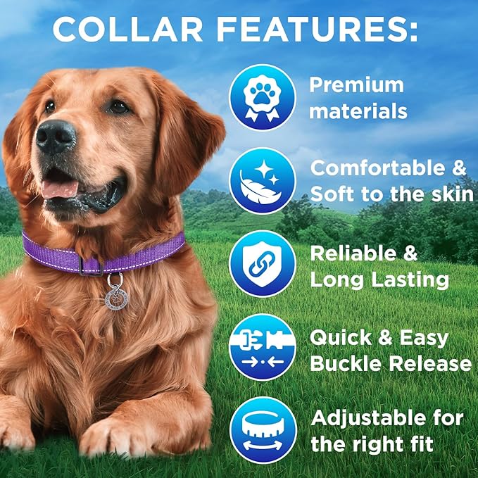 TECEUM Reflective Dog Collar – Purple – XS – Extra Soft Padding – Basic Nylon Pet Collar – Quick Release Buckle – Fits Small, Medium and Large Dogs, Puppies, Cats – ESA & Service Dog Options