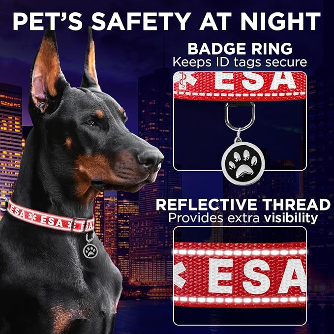 TECEUM Reflective Pet Collar – Red - ESA – S – Extra Soft Padding – Basic Nylon Dog Collar – Quick Release Buckle – Fits Small, Medium and Large Dogs, Puppies, Cats – ESA & Service Dog Options