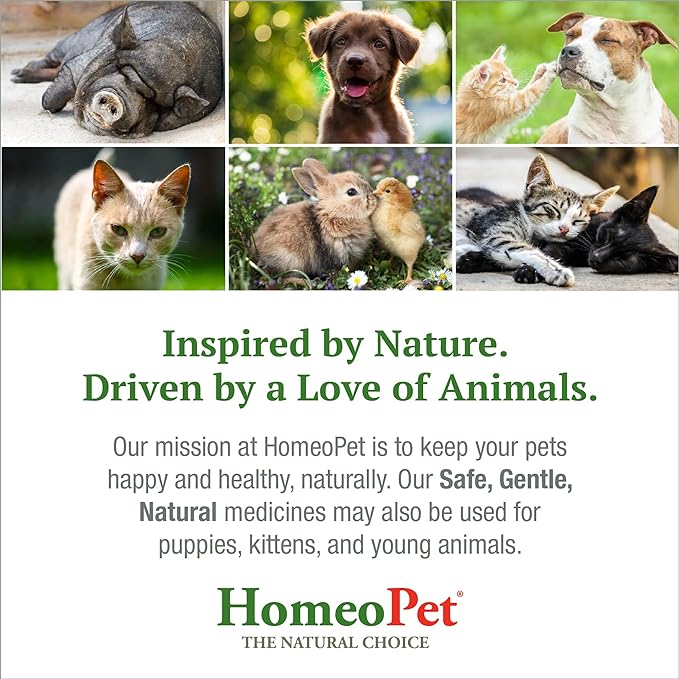 HomeoPet Feline Nose Relief, Safe and Natural Nasal and Sinus Supplement for Cats, 15 Milliliters