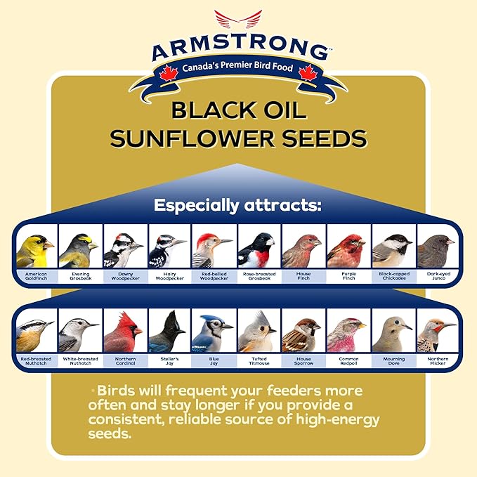 Armstrong Wild Bird Food Black Oil Sunflower Bird Seed, 15.4 Pounds - for Northern Cardinals, Blue Jays and Hairy Woodpeckers - Ideal for Outside Feeders