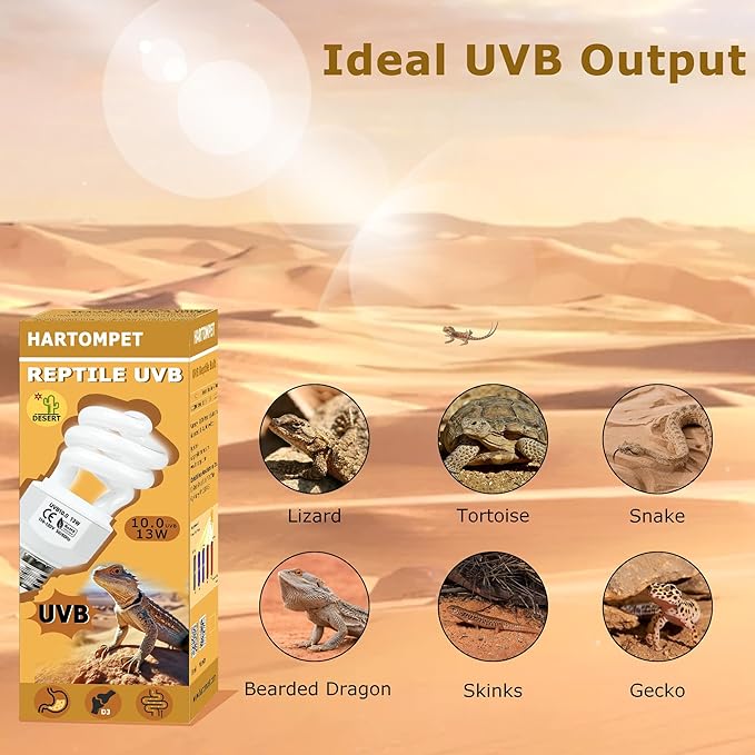 UVB 10.0 Reptile Light 13W, Compact Fluorescent Desert Lamp, High-Output Coil UVB Bulbs for Terrarium Tanks, Suitable for Bearded Dragons, Geckos and Other Desert-Dwelling Reptile