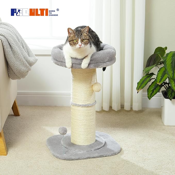 PEQULTI Cat Scratching Post, Tall Cat Scratcher for Indoor Cats with Super Thick Scratching Post [Dia=5.5''], Removable Fluffy Bed, Cat Scratch Post with Spring Ball, Grey