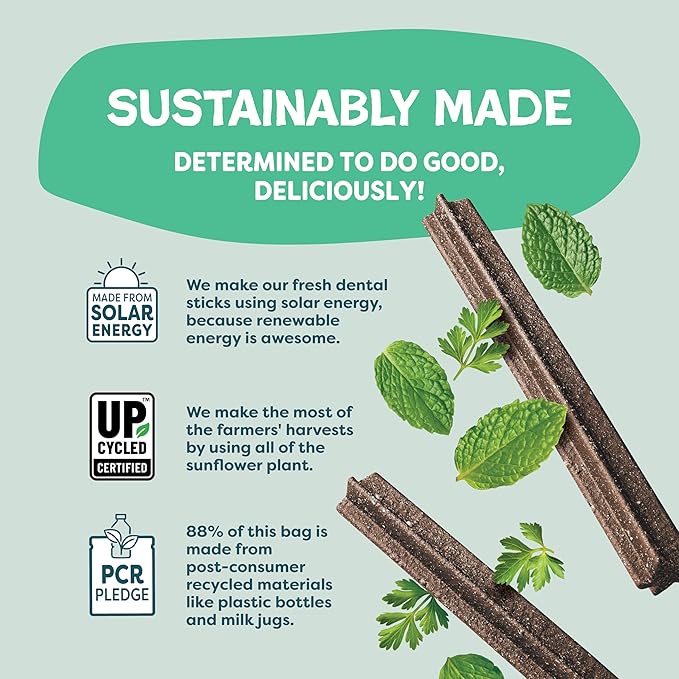 Shameless Pets Dental Chews for Dogs, Mighty Mint Dental Sticks, Healthy Treats for Teeth Cleaning & Fresh Breath - Dog Bones Dental Chews Free from Grain Corn & Soy, 8 Sticks