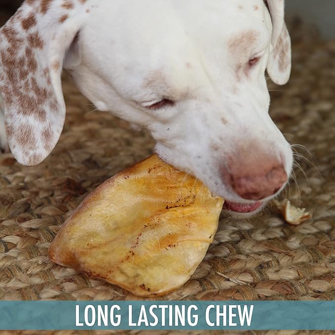 Water Buffalo All Natural Dusted Ear Dog Chews, Treats & Dog Snacks - 20 Piece Value Pack (Grain Free Treats - Great Alternative to Pig Ears, Cow Ears, Bones & Rawhides for Dogs)