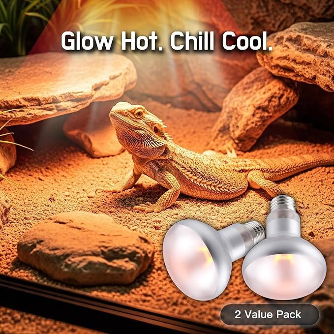 Reptile Heat Lamp, 100W 2-Pack Incandescent Basking Spotlight Bulbs for Reptiles Terrarium Tanks, Reptile Heat Bulb for Infrared Light, Bearded Dragon Heat Bulbs (100W)
