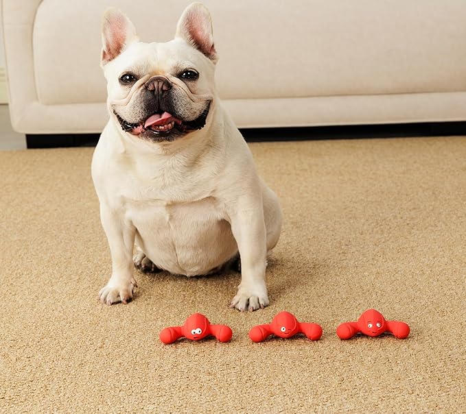 3 Pack Squeaky Dog Toys, Soft Latex Rubber Squeaky Ball for Small Dogs Puppies, Cute Bounce Squeak Lobster Pet Dog Toy