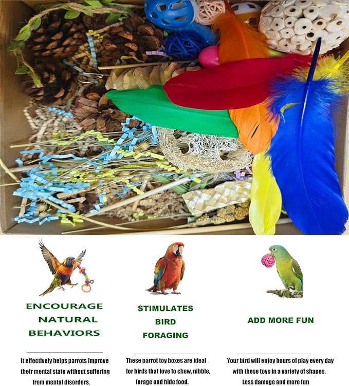 Natural Bird Foraging Toys, Interactive Chew Toys, Perfect for Parakeets, Cockatiels, Conures, Sun Conures and Other Small to Medium Bird Shred Toys