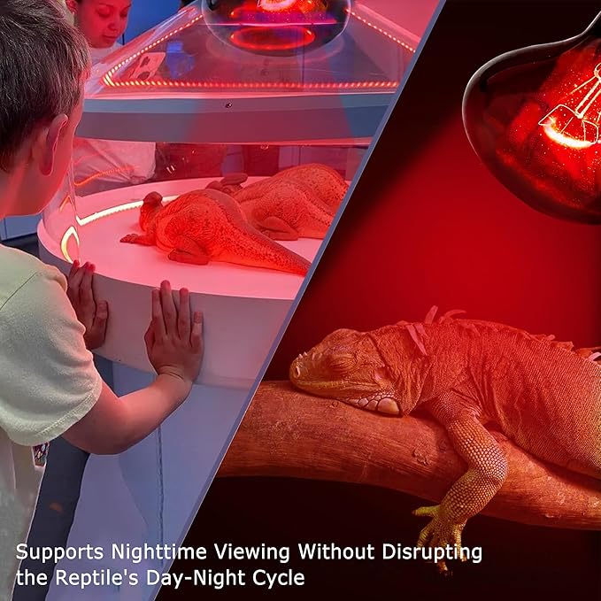 75W Infrared Basking Spot Light Bulbs for Reptiles&Amphibians,Suitable for Bearded Dragons, Snakes, Turtles&Lizards, Red Heat Lamp Bulbs Ideal for Pet Brooders,Reptile Terrarium&Turtle Tank