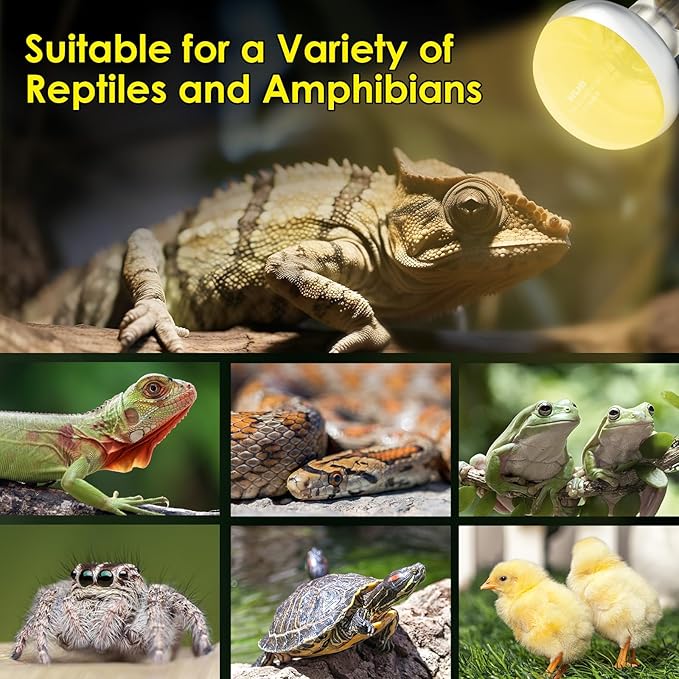 MIXJOY 2Pack 75W Reptile Heat Lamp Bulbs, Upgraded Golden Glass 60% Intense Heat Bulb UVA Daylight Basking Spot Light Bulb for Reptiles, Turtle, Lizard, Tortoise, Bearded Dragon, Gecko, Chicken