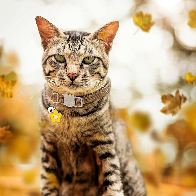 2 Pack Cat Collar with Bells, Corduroy Adjustable Kitten Collars with Breakaway Safety Buckle for Boy Girl Cats-Blue Brown