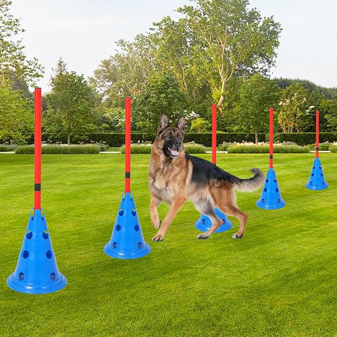 Dog Agility Hurdle Cone Set, Dog Training Equipment with 12 Agility Cones 6 Agility Rods 2 Rod Buckles, Pet Agility Course Set Puppy Obstacle Course Jump with Storage Bag for Outdoor