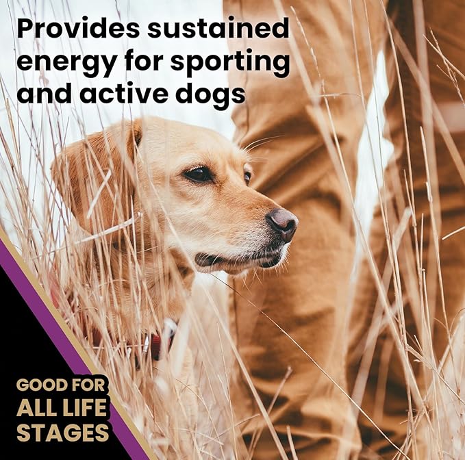 VICTOR Super Premium Dog Food – Professional Dry Dog Food – Super Premium Kibble with 26% Protein – Gluten-Free with Beef, Chicken & Pork Meals – for High Energy and Active Dogs & Puppies, 15lbs