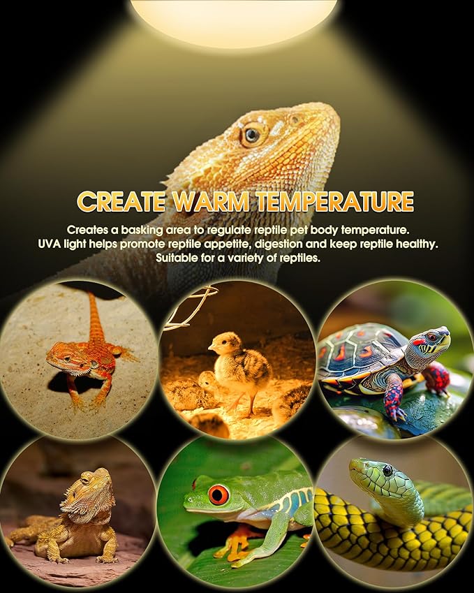 Reptile Heat Lamp, 100W UVA Natural Daylight Heat Lamp Bulbs Basking Spot Lights for Reptiles, 2 Pack Amphibians Terrarium Basking Reptile Light Bulb for Bearded Dragon, Lizard, Turtle, Chicken, Snake