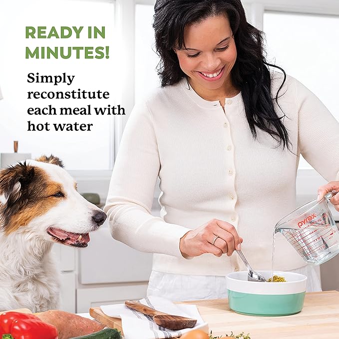 Dr. Harvey's Chicken & Garden Veggies Dog Food, Human Grade Grain-Free Dehydrated Food for Dogs with Freeze-Dried Chicken (5 Pounds)