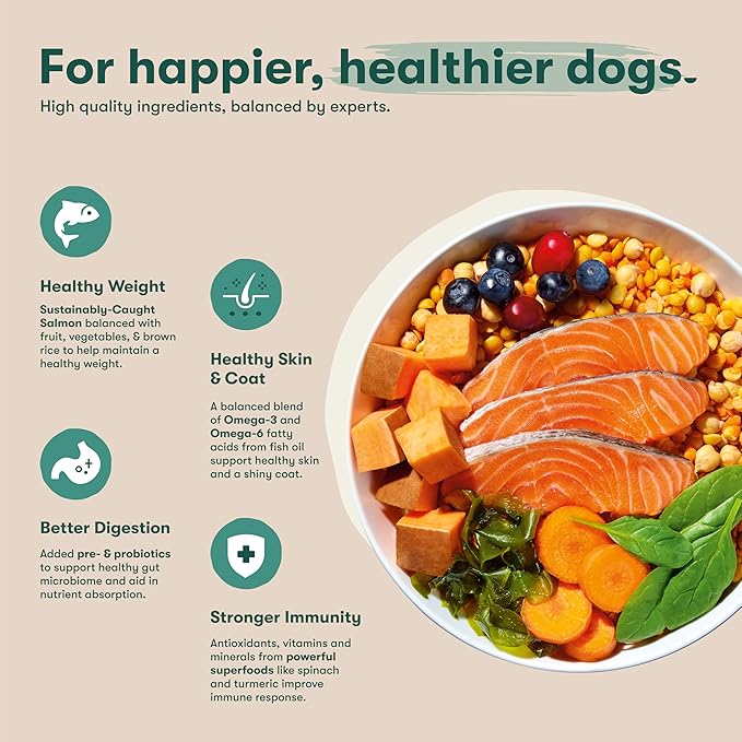 Jinx Premium Grain-Free Dry Dog Food, for All Lifestages - Real Salmon, Sweet Potato & Carrot Puppy Kibble with Superfoods for Immune Support & Probiotics for Digestive Support - No Fillers - 4lb