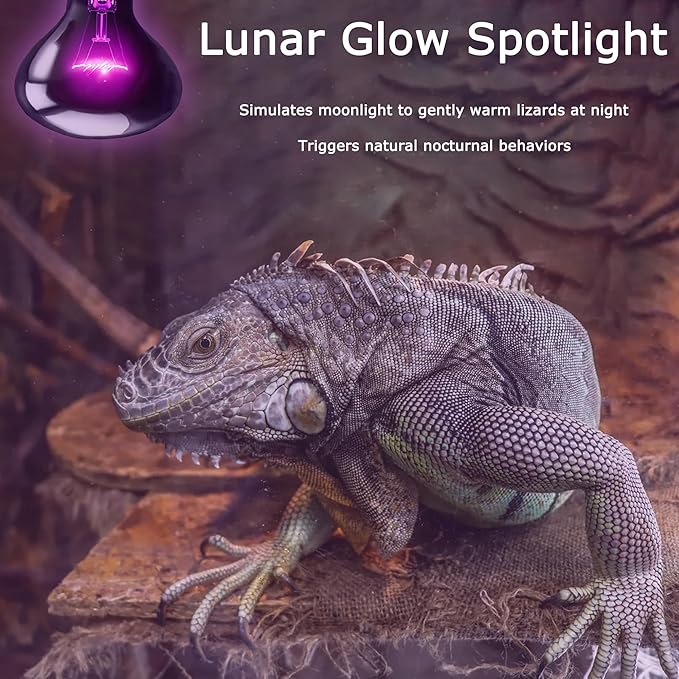 60W Reptile Night Light Bulb - Simulated Moonlight & Purple Heat Lamp for Reptiles and Amphibians - Perfect UVA Basking Light for Bearded Dragons, Lizards and Aquatic Tanks
