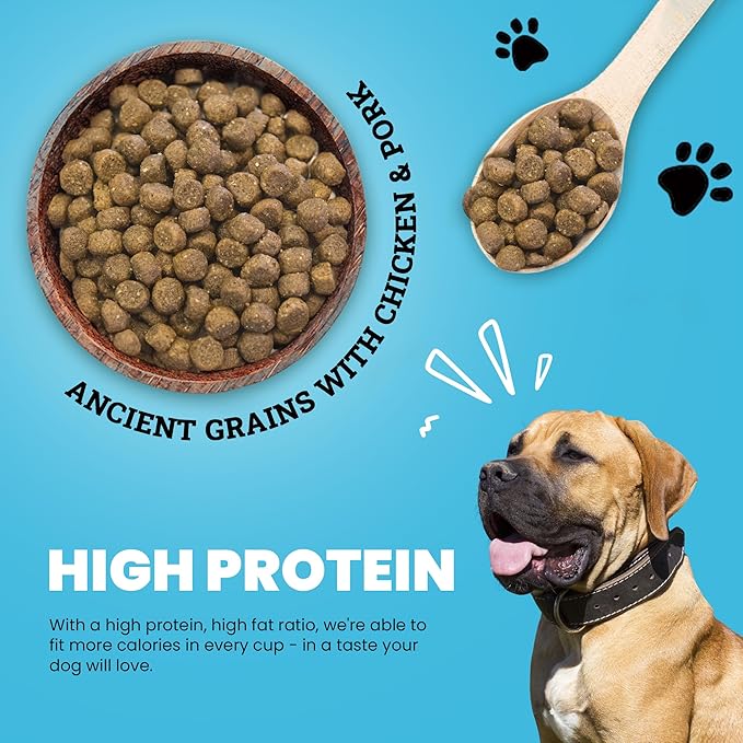 Muenster Ancient Grains Chicken & Pork Dry Dog Food, 4lb - Gluten-Free, High Protein, Digestive Support