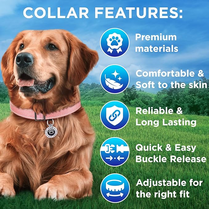 TECEUM Reflective Dog Collar – Pink – XXS – Extra Soft Padding – Basic Nylon Pet Collar – Quick Release Buckle – Fits Small, Medium and Large Dogs, Puppies, Cats – ESA & Service Dog Options
