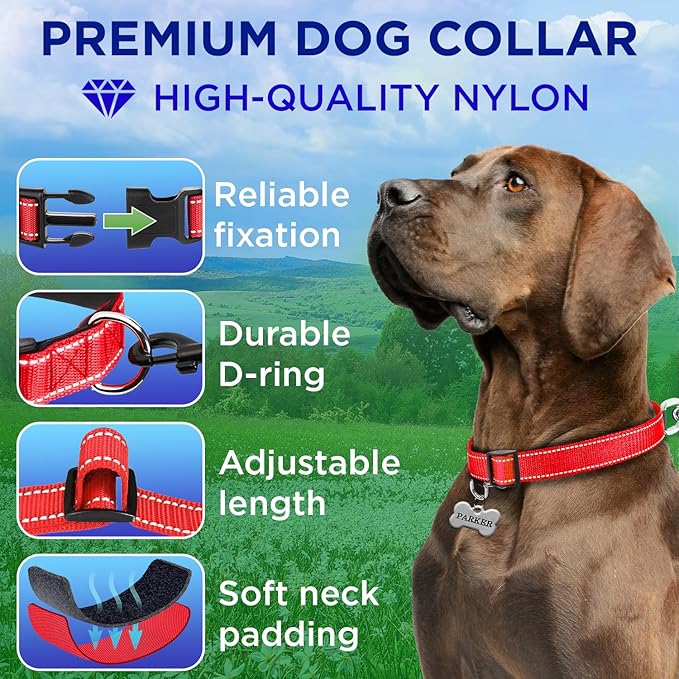 TECEUM Reflective Dog Collar – Red – M – Extra Soft Padding – Basic Nylon Pet Collar – Quick Release Buckle – Fits Small, Medium and Large Dogs, Puppies, Cats – ESA & Service Dog Options