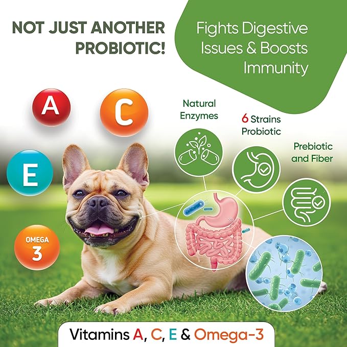 Probiotics for Dogs - Digestive Enzymes Gut Flora, Digestive Health, Immune System - Diarrhea Support, Itchy Skin, Allergies - Pumpkin, Flaxseed Meal, Papaya Powder - Probiotic Chews for Dogs