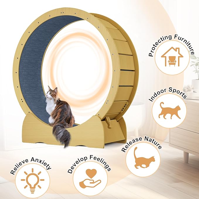 45 Inch Cat Exercise Wheel, Large Cat Wheel for Indoor Cats with Detachable Carpet & Toy, for Running/Walking/Training, Suitable for Most Cats