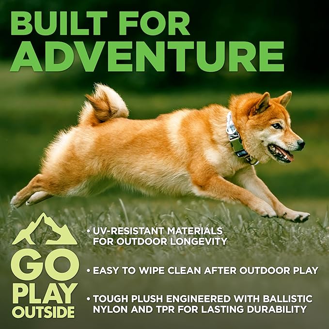 Dog Toys | Plush Toy Duck & Trout Fish Stuffed Animal for Dogs, Value 2-Pack | Outdoor Toy - Easy to Clean and Made from Non Toxic Materials