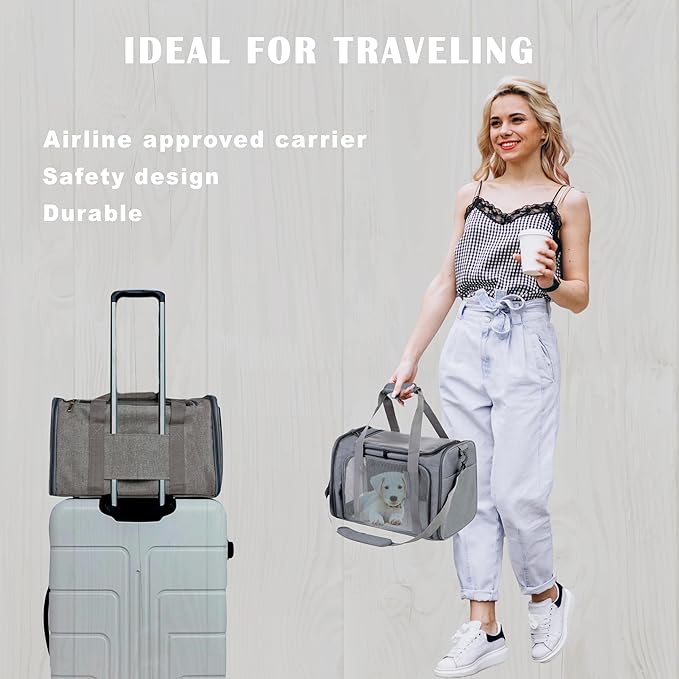 Airline Approved Soft Sided Pet Carrier for Small and Medium Dogs, Cats, and Puppies (Up to 15 lbs), Collapsible Portable Travel Bag for Dogs Cats (Grey)
