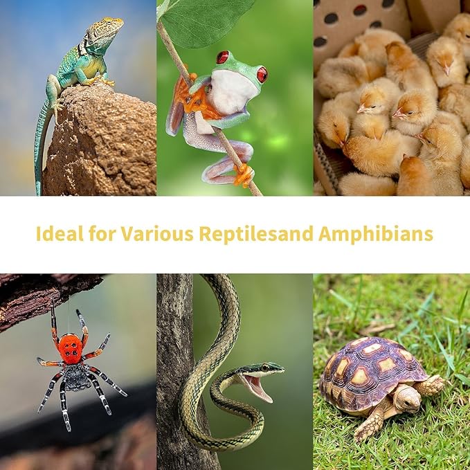 Reptile Heat Lamp 75W, (2 Pack) UVA Basking Spot Heat Lamp Bulbs, Turtle,Lizard,Chicken Brooder,Natural Daylight Heating Light for Bearded Dragon