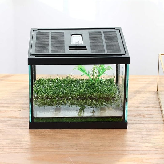 crapelles Small Glass Frog Terrarium Kit, 7.8x7.8x5.9'' for Tadpole, Amphibians, Insects Enclosure, Praying Mantis Habitat, with Green Artificial Turf Pad (excluding Animals)