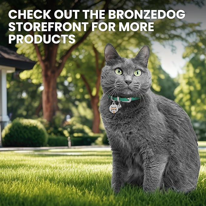 BRONZEDOG Leather Cat Collar with Removable Bells Non Breakaway Kitten QR Tag for Girl Boy (7" - 9" for Cats, Green & Silver)