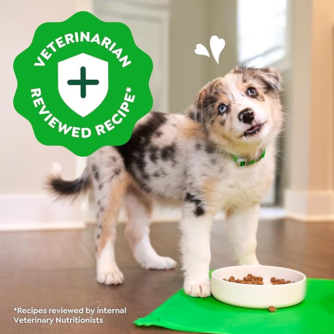 Greenies Smart Essentials Puppy High Protein Dry Dog Food Real Chicken & Brown Rice Recipe, 27 lb. Bag