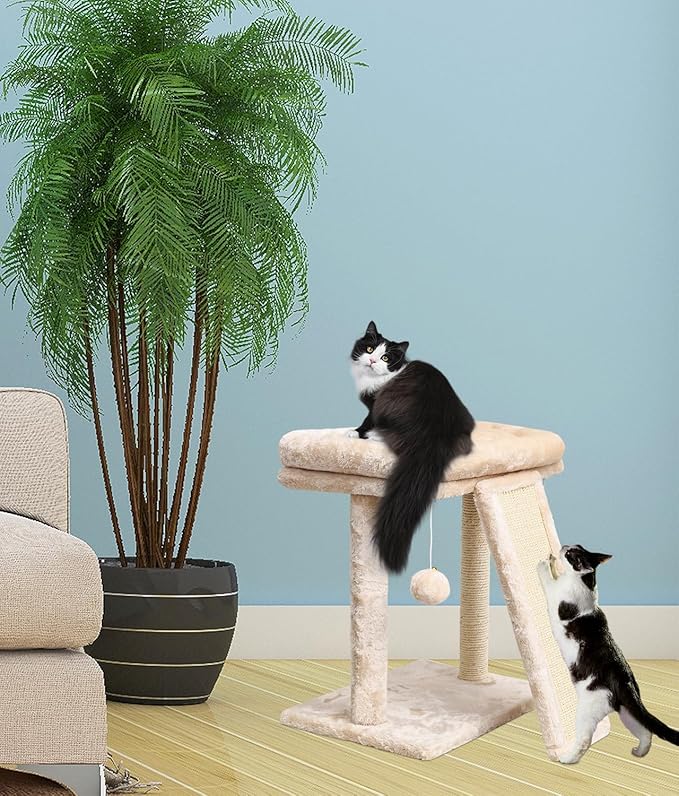 SYANDLVY Small Cat Tree with Scratching Post, Cat Scratching Board with Perch, Cat Post Scratcher for Indoor Cats, 2 Dangling Balls Great for Kittens (Beige)