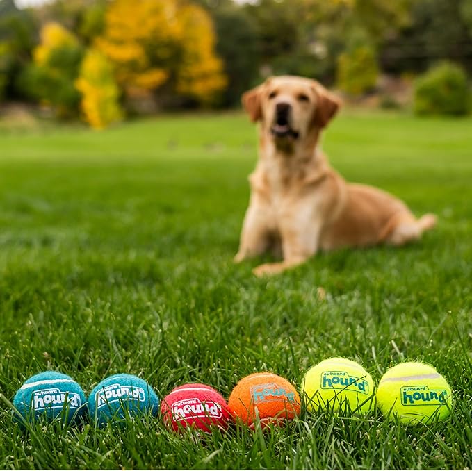 Outward Hound Squeaker Ballz 6-Pack Tennis Ball Dog Toys with Squeaker, Interactive Fetch Play for Pets Under 50 lbs, Training Balls for Indoor & Outdoor Exercise, Medium, 2.5-inch