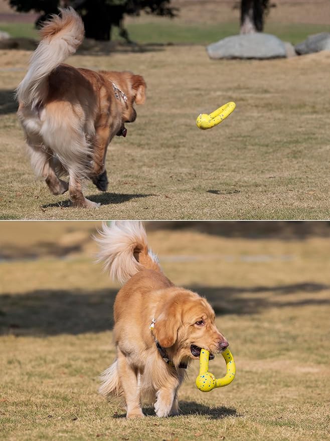Indestructible Dog Toys Dog Toys for Large Dogs Flying Discs for Medium/Large Breeds Dog Training Ring,Floating Dog Ring Toys for Throwing,Catching Flying Lightweight Dog Toy (Blue)