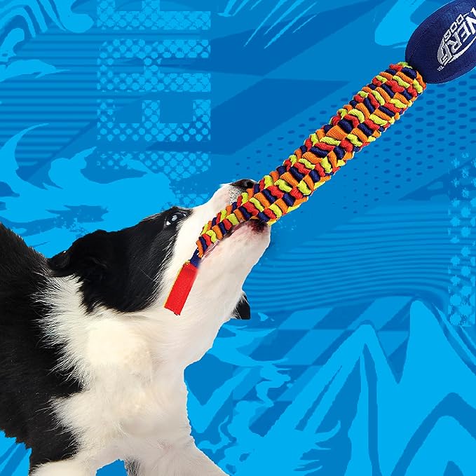 Nerf Dog 25in Rainbow Vortex Chain Tug - Blue/Green/Orange/Red