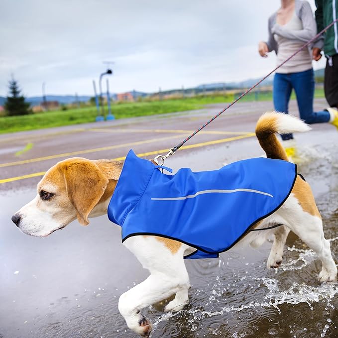 Mile High Life Dog Raincoat, Adjustable Waterproof Reflective Rain Jacket for Small Medium Large Dogs, Lightweight Breathable Pet Rain Coat with Leash Hole(Blue,XXL Chest 36-42")